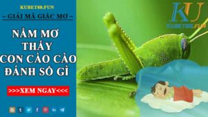 Mơ Con Cào Cào Số Mấy ? Bật Mí Bí Ẩn Gặp Cào Cào Trong Giấc Mơ